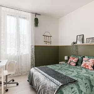 Superbe Cosy Avec Terrasse Saint-Etienne (Loire)